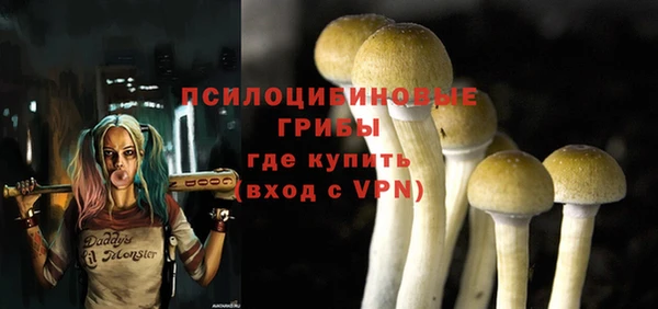 PSILOCYBIN Абаза