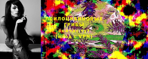 PSILOCYBIN Абаза